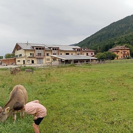 Maso Torbiera- Rural And Mountain Lodging Fiavè Dış mekan fotoğraf