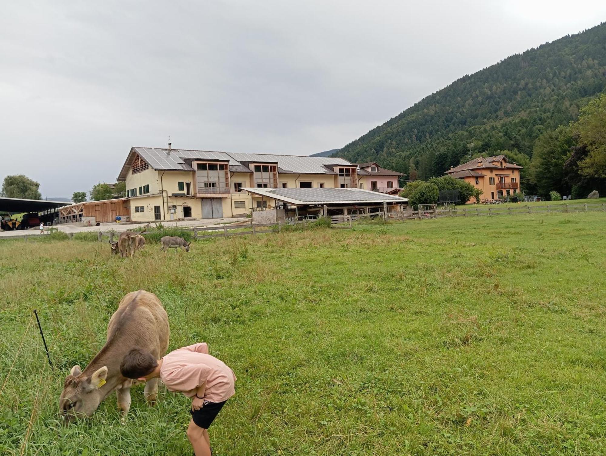 Maso Torbiera- Rural And Mountain Lodging Fiavè Dış mekan fotoğraf